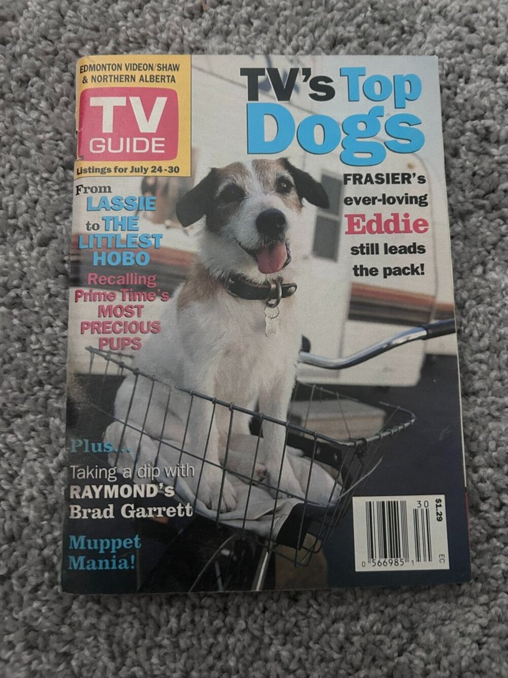 TV Guide Magazine - TV's Top Dogs - July 24-30 1999 Canada Edition